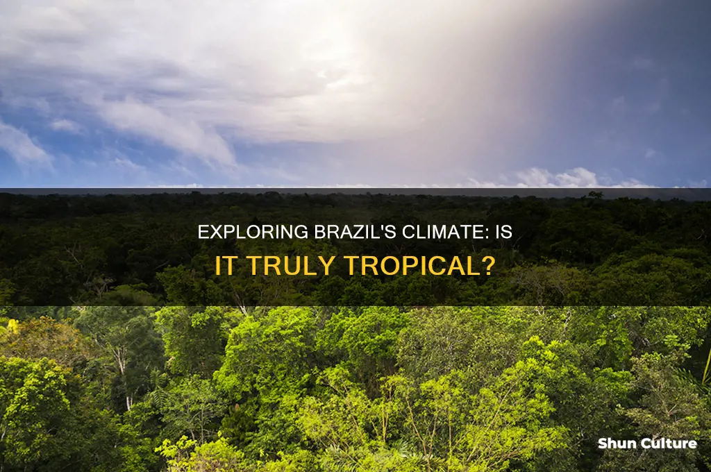 does brazil have a tropical climate