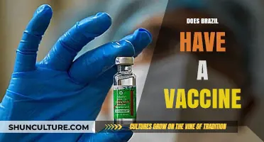 Brazil's COVID-19 Vaccine Rollout: Progress, Challenges, and Accessibility