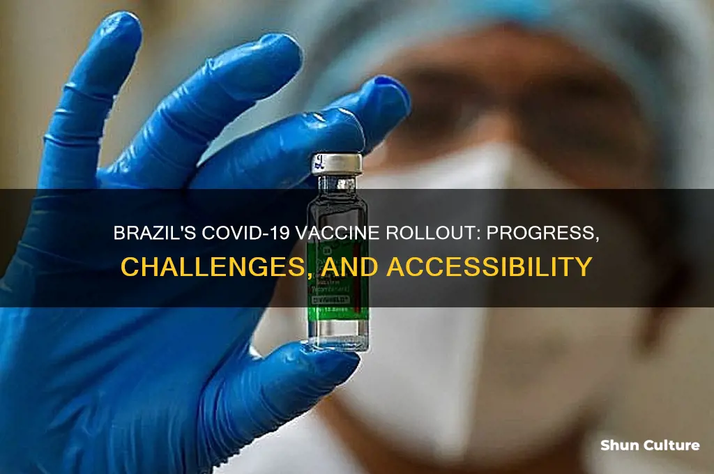 does brazil have a vaccine