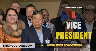 Does Brazil Have a Vice President? Exploring the Country's Leadership Structure