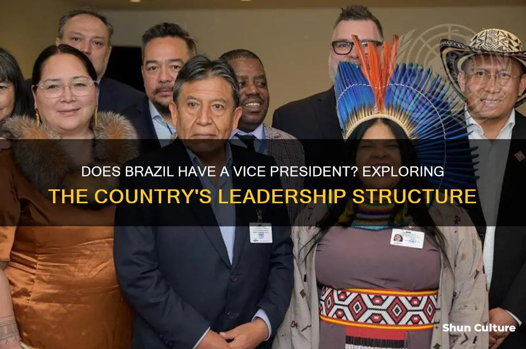 does brazil have a vice president