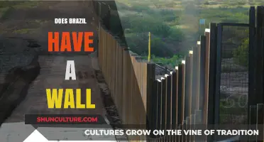 Does Brazil Have a Wall? Exploring Border Security and Myths