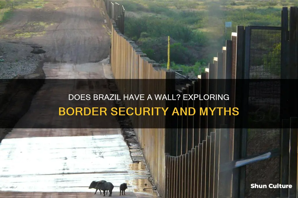 does brazil have a wall