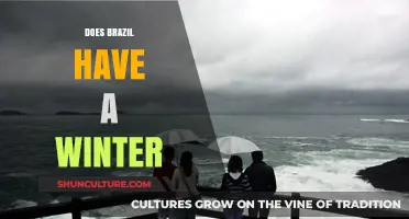 Does Brazil Have a Winter? Exploring the Country's Unique Climate