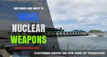 Brazil's Nuclear Capabilities: Potential for Weapons Development Explored