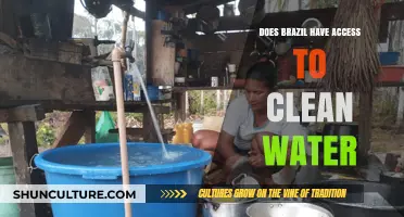Brazil's Clean Water Crisis: Access, Challenges, and Solutions Explored