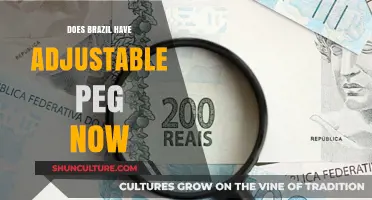 Brazil's Currency Regime: Is It an Adjustable Peg Today?