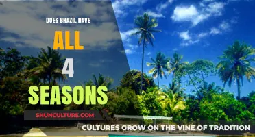 Brazil's Climate Unveiled: Exploring Seasonal Variations Across the Country