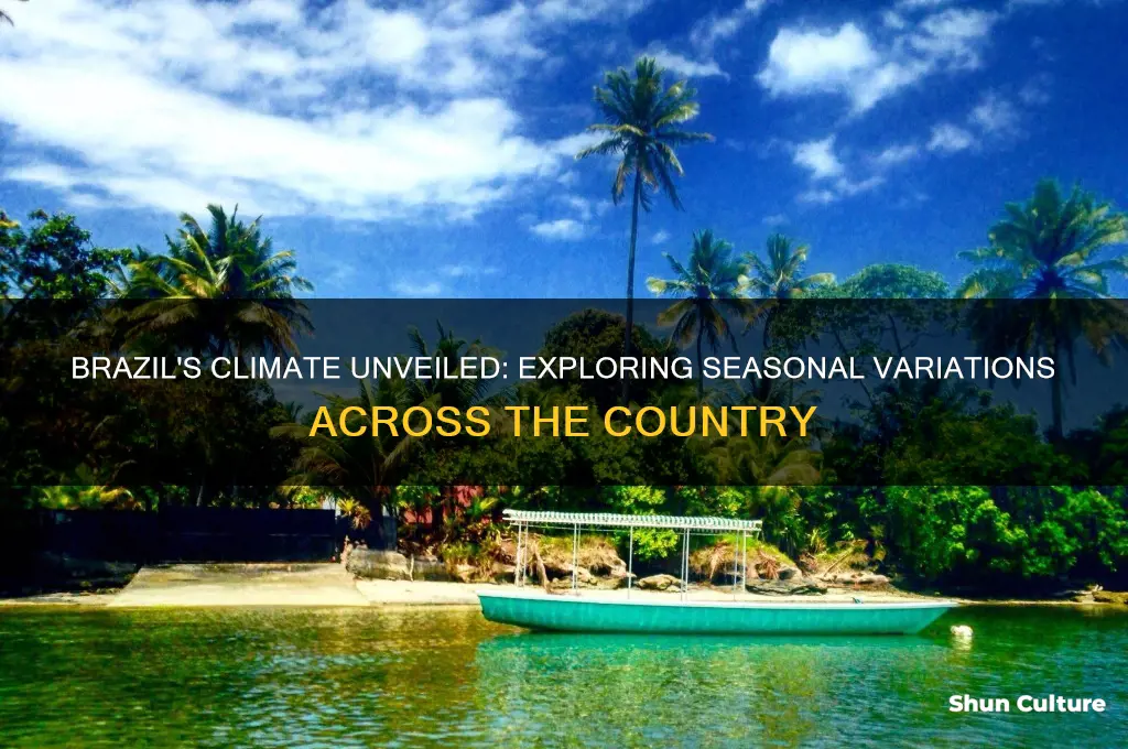does brazil have all 4 seasons