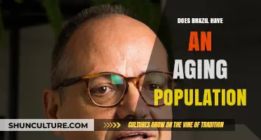 Brazil's Aging Population: Trends, Challenges, and Future Implications