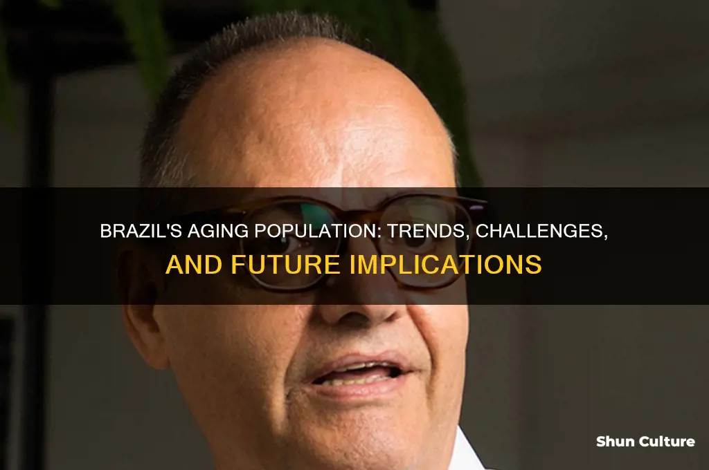 does brazil have an aging population