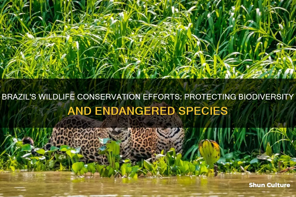 does brazil have an animal conservation program