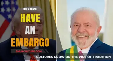 Does Brazil Face Trade Embargoes? Exploring Economic Restrictions and Impacts