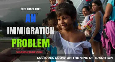 Brazil's Immigration Dilemma: Challenges, Policies, and Societal Impact Explored