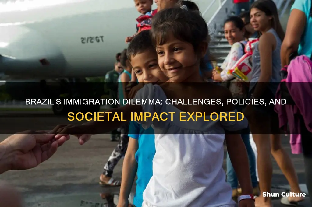 does brazil have an immigration problem