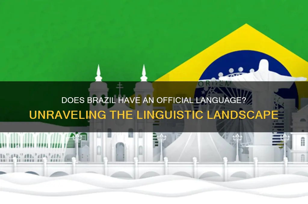 does brazil have an official language