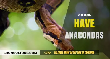 Exploring Brazil's Wildlife: Are Anacondas Part of Its Ecosystem?