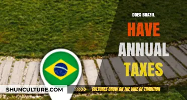 Brazil's Annual Tax System: What You Need to Know