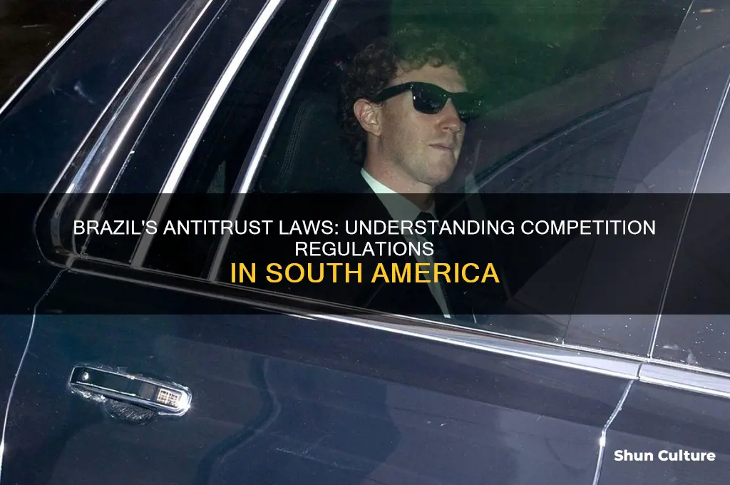 does brazil have anti trust laws