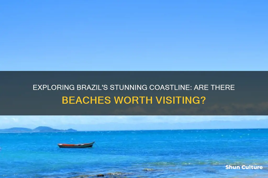 does brazil have any beaches