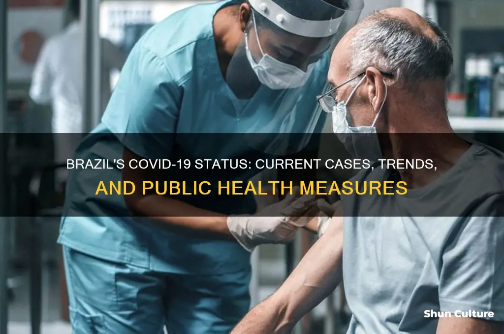 does brazil have any coronavirus