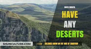 Exploring Brazil's Arid Regions: Are There Deserts in the Country?