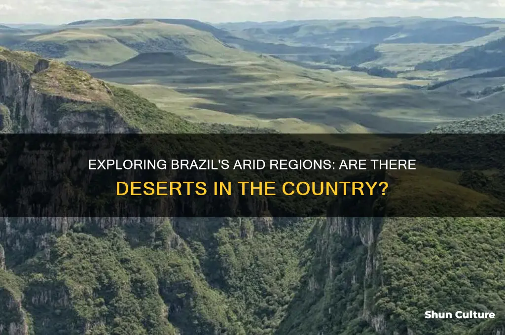 does brazil have any deserts
