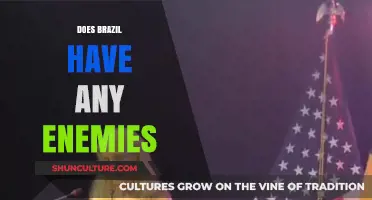 Does Brazil Have Enemies? Exploring Its Global Diplomatic Relations