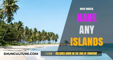 Exploring Brazil's Hidden Gems: Discovering Its Beautiful Islands