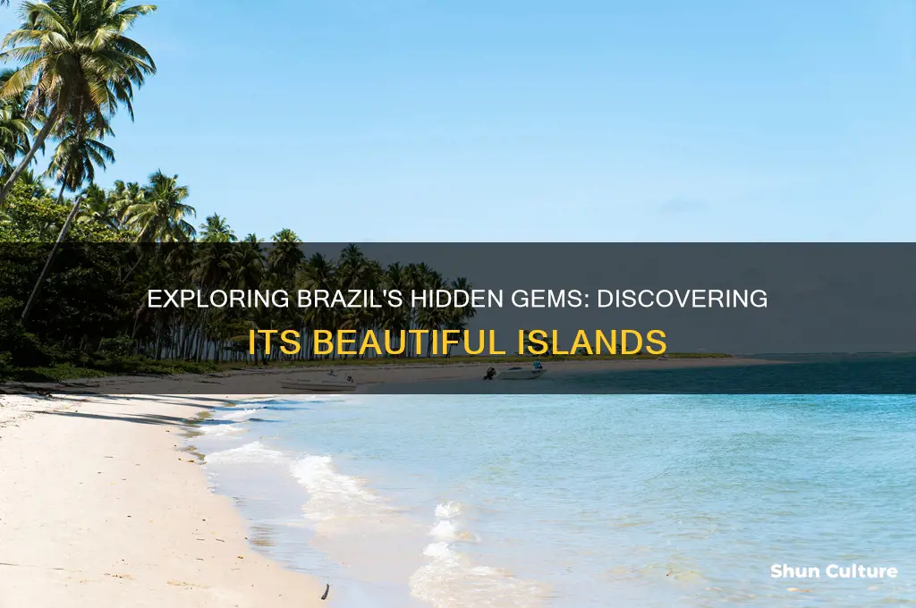 does brazil have any islands