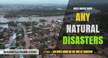 Brazil's Natural Disasters: Exploring the Country's Environmental Challenges