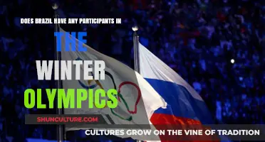Brazil's Winter Olympics Presence: Participants and Achievements Explored