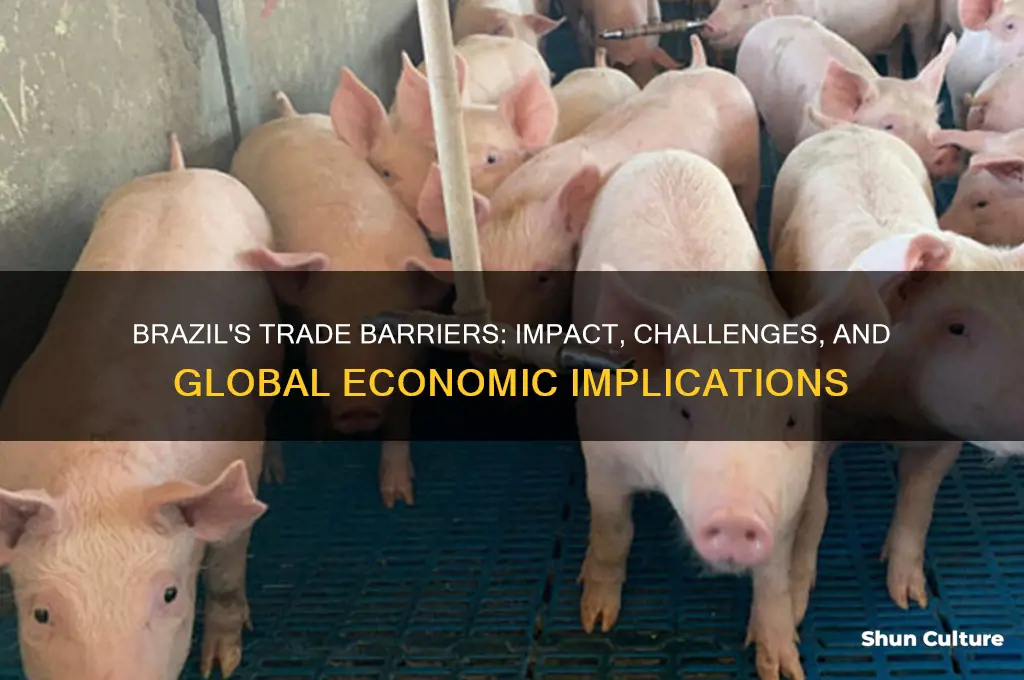 does brazil have any trade barriers