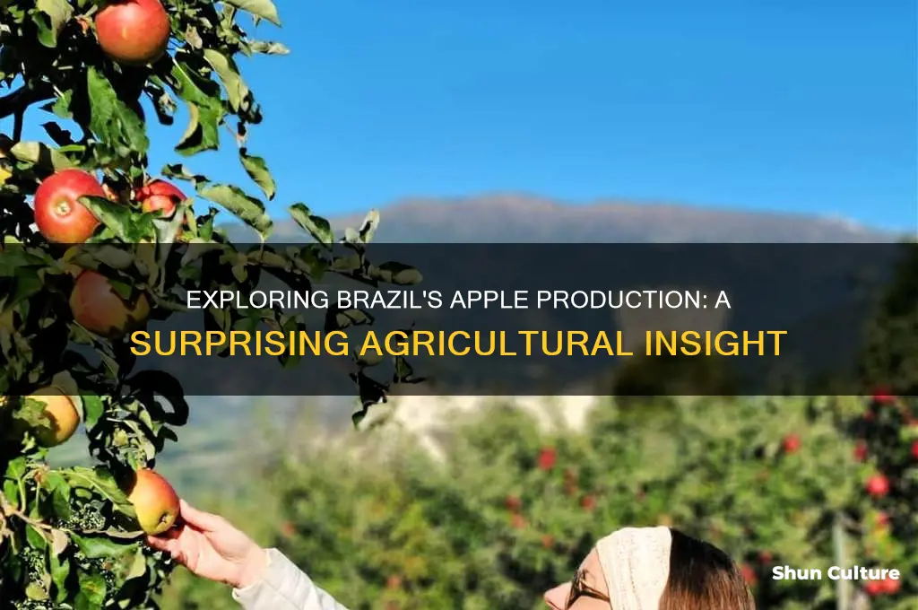 does brazil have apples