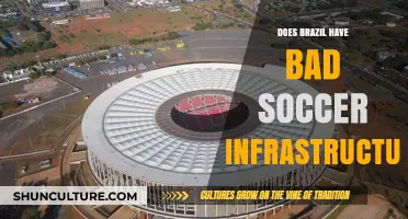 Brazil's Soccer Infrastructure: Challenges and Impact on the Beautiful Game