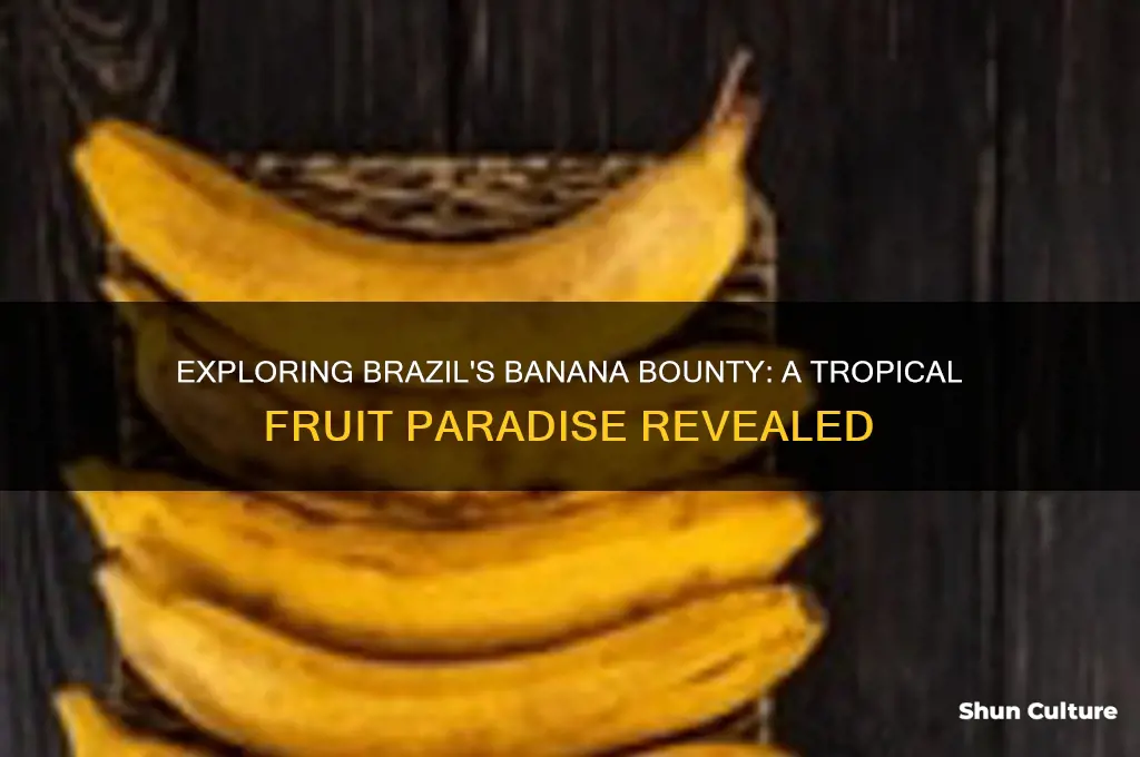 does brazil have bananas
