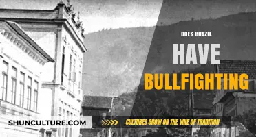 Exploring Brazil's Cultural Traditions: Is Bullfighting Part of Its Heritage?