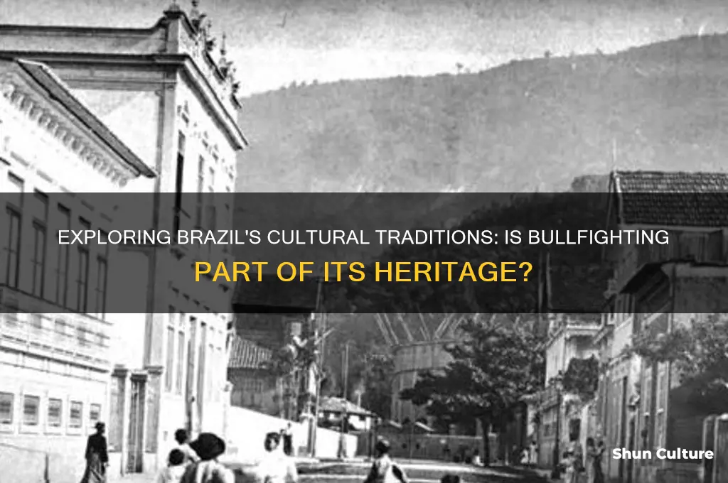 does brazil have bullfighting
