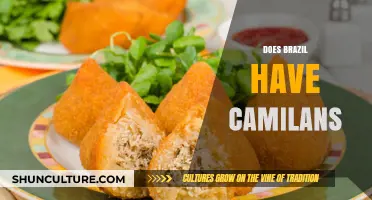 Exploring Brazilian Snack Culture: Do Camilans Exist in Brazil?