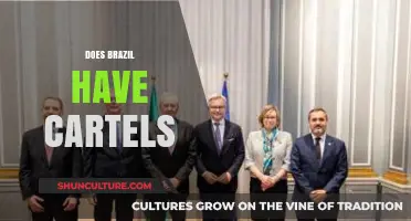 Brazil's Cartel Presence: Uncovering Organized Crime Networks in the Country