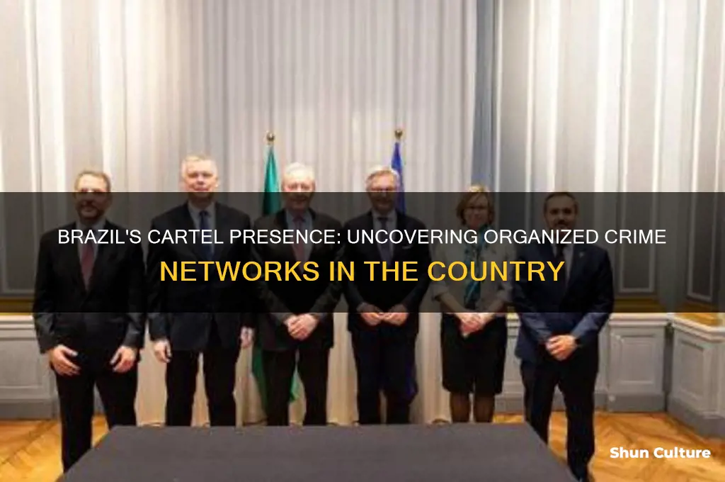 does brazil have cartels