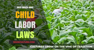Brazil's Child Labor Laws: Protections, Enforcement, and Current Challenges