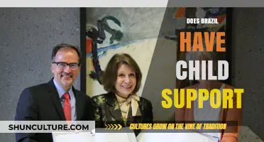 Child Support in Brazil: Legal Framework and Obligations Explained