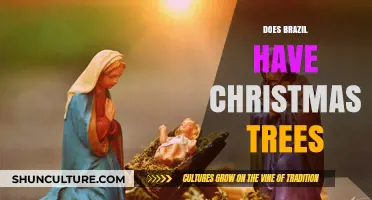 Do Brazilians Celebrate Christmas with Trees? A Cultural Insight