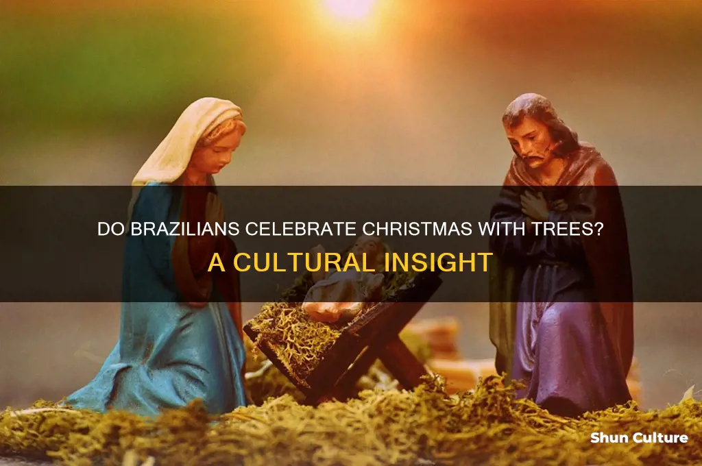 does brazil have christmas trees
