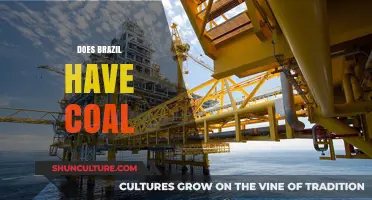 Exploring Brazil's Energy Sources: Does the Country Have Coal Reserves?