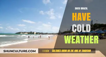 Does Brazil Get Cold? Exploring the Country's Climate Variations