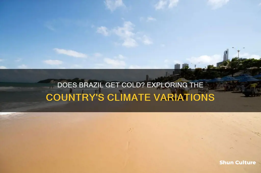 does brazil have cold weather