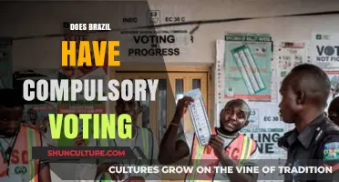 Does Brazil Enforce Compulsory Voting? Understanding the Electoral System