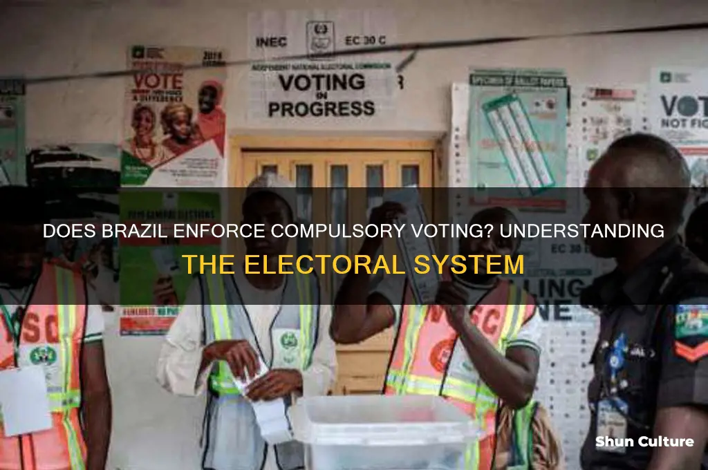 does brazil have compulsory voting